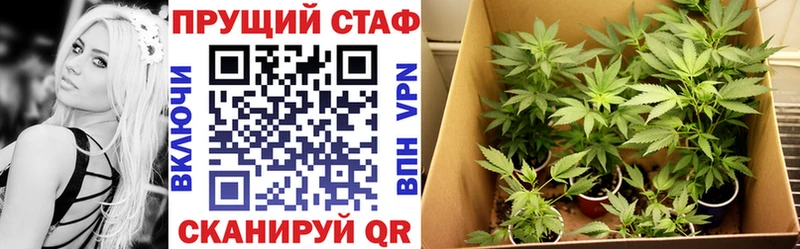 Виды наркоты Ногинск A-PVP  Cocaine  ГАШ  ссылка на мегу ссылки  Бошки Шишки  МЕФ  MDMA 