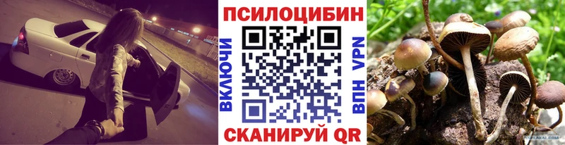 Псилоцибиновые грибы Cubensis закладки Ногинск